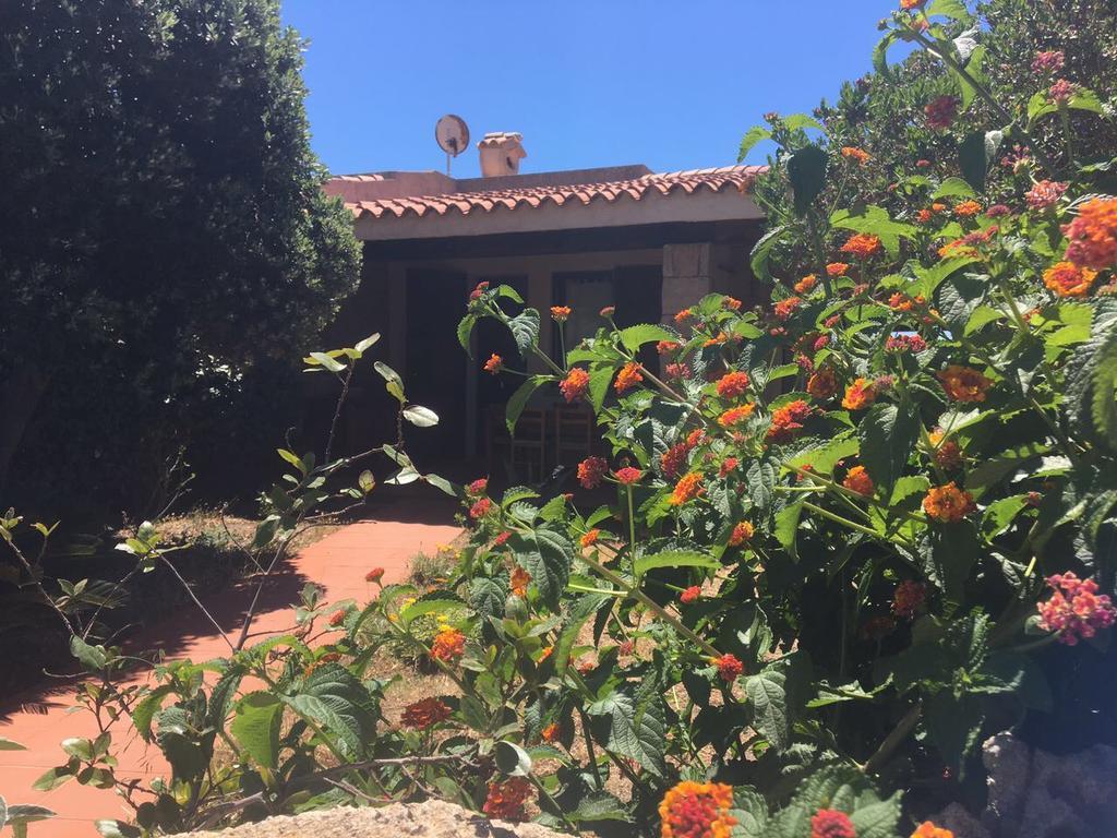 Residence Baia Santa Reparata Santa Teresa Gallura Dış mekan fotoğraf